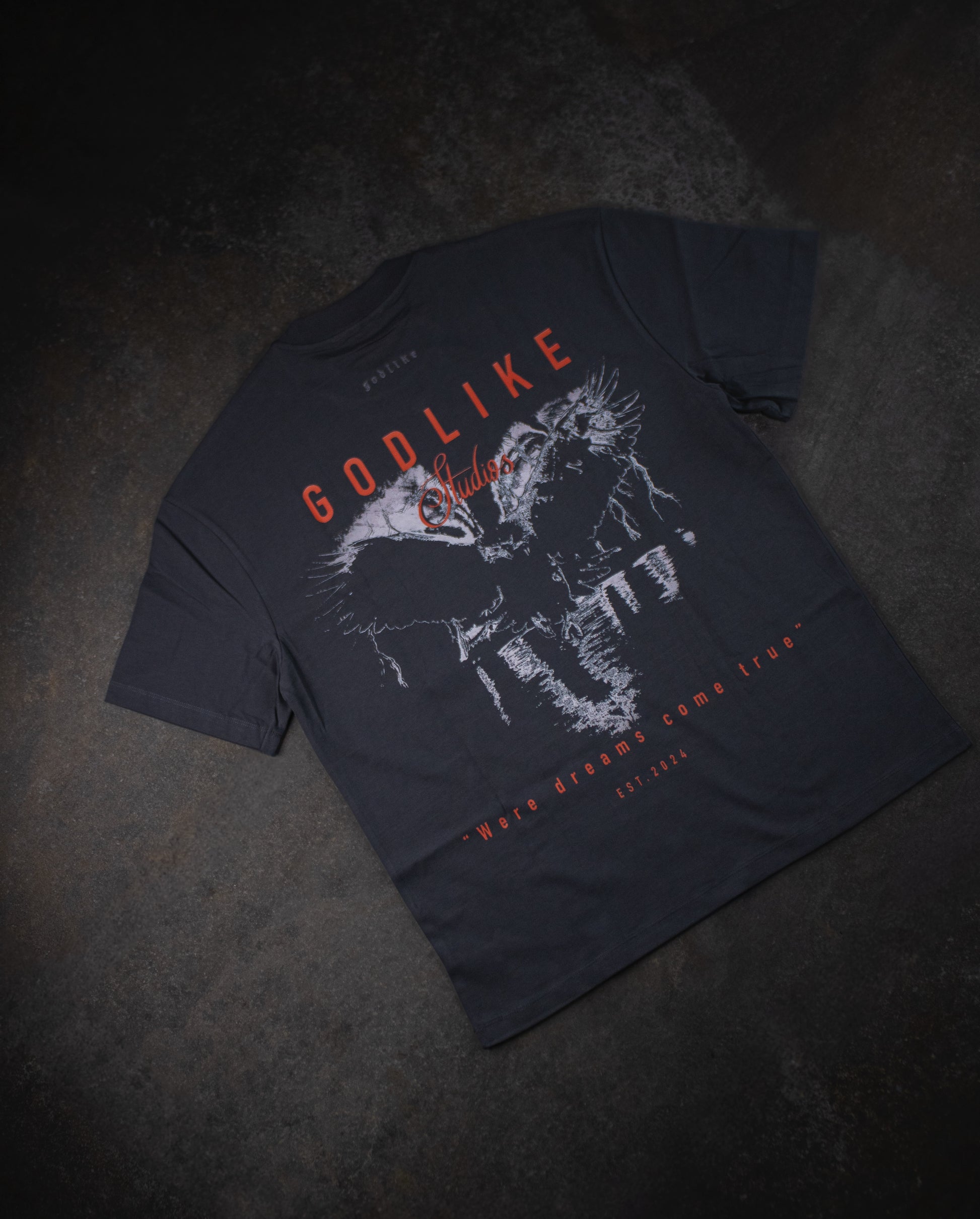 DREAMS EAGLE OVERSIZED GRAY